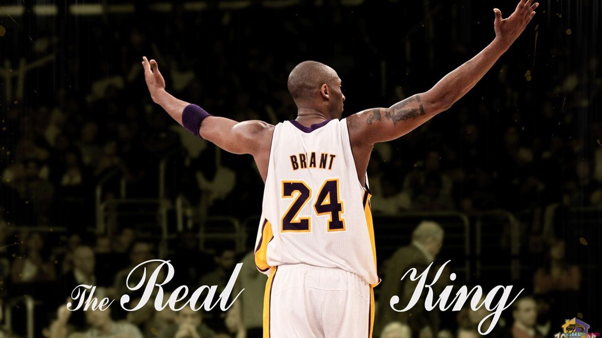 开云-季后赛临近，谁能突破重围？，季后赛出局